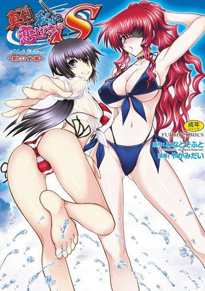 真剣で私に恋しなさい! S Adult Edition 〜新ヒロイン編〜 メイン画像