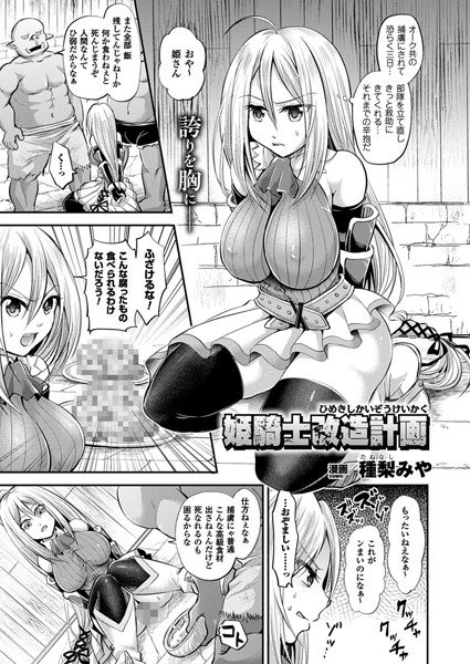 姫騎士改造計画(単話) メイン画像