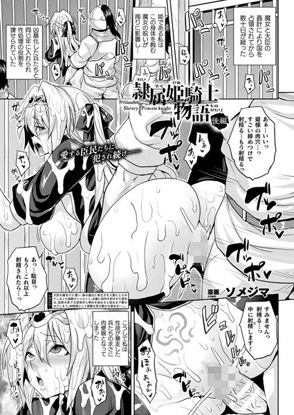 隷属姫騎士物語（単話） メイン画像