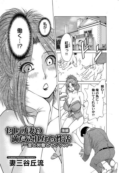 セレブ妻の満たされない性活（単話） メイン画像