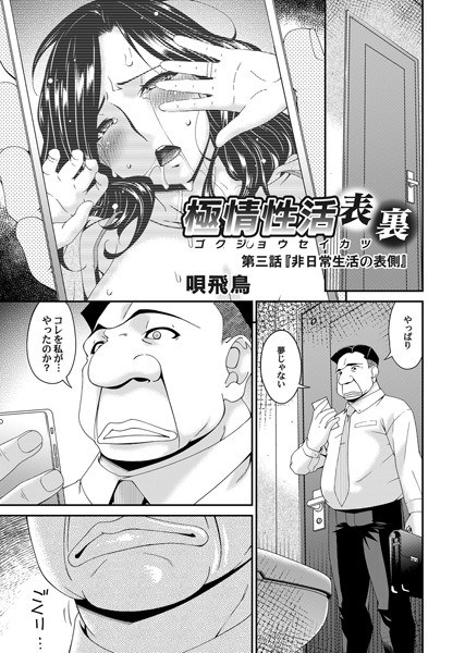 極情性活 表裏(単話) メイン画像