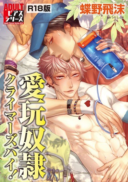 愛玩奴隷クライマーズハイ！【R18版】 メイン画像