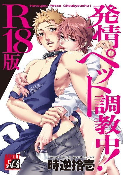 ADULTピアスシリーズ メイン画像