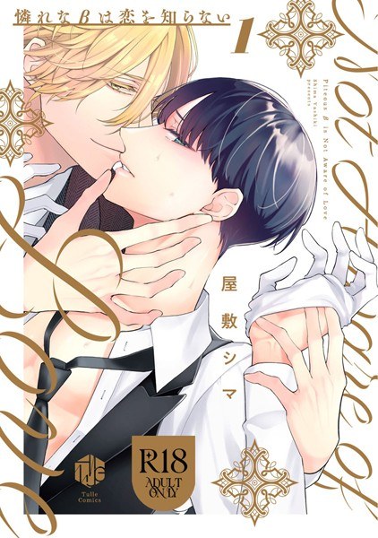 【18禁版】憐れなβは恋を知らない【コミックス版】【期間限定 試し読み増量版 閲覧期限2025年6月4日】 メイン画像