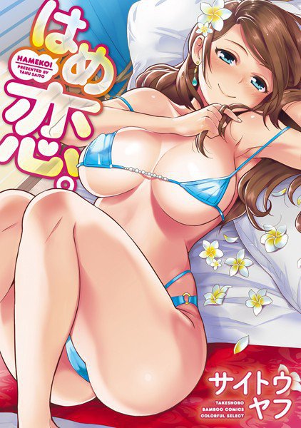 はめ恋。 メイン画像