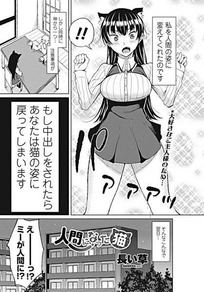 人間になった猫（単話） メイン画像