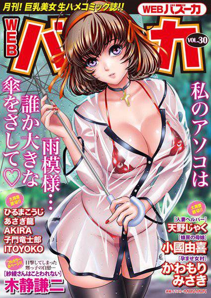 WEBバズーカ Vol.30 メイン画像