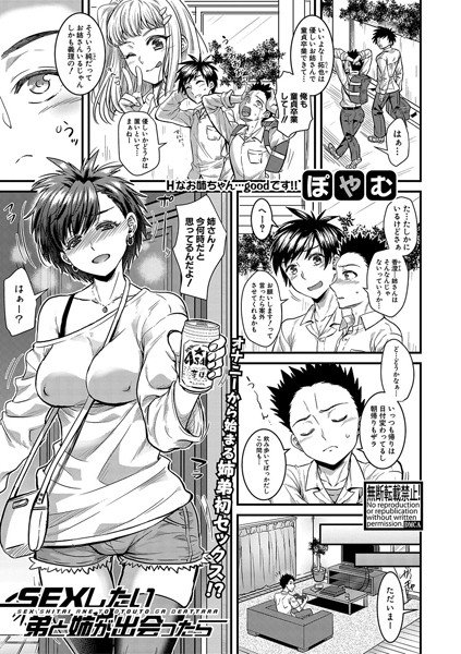 SEXしたい弟と姉が出会ったら(単話) メイン画像