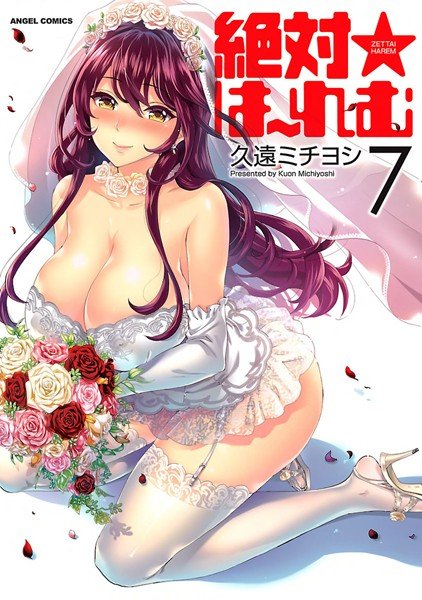 絶対★は〜れむ メイン画像