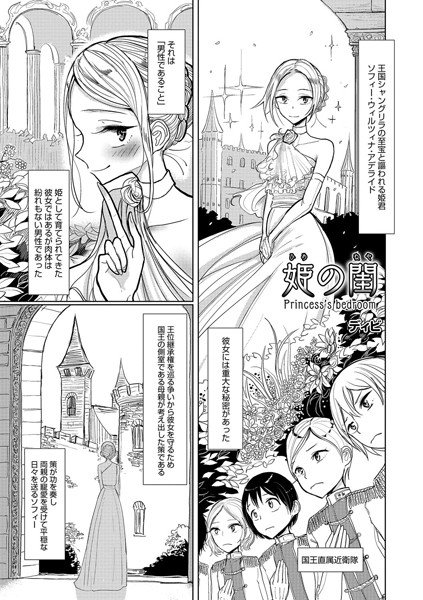姫の閨（単話） メイン画像