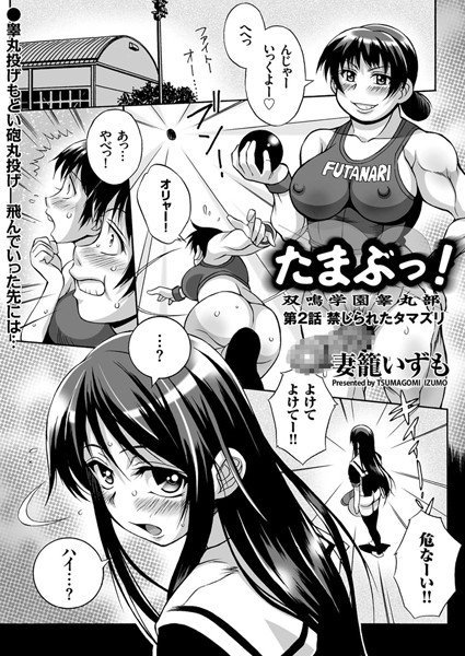 たまぶっ！（単話） メイン画像