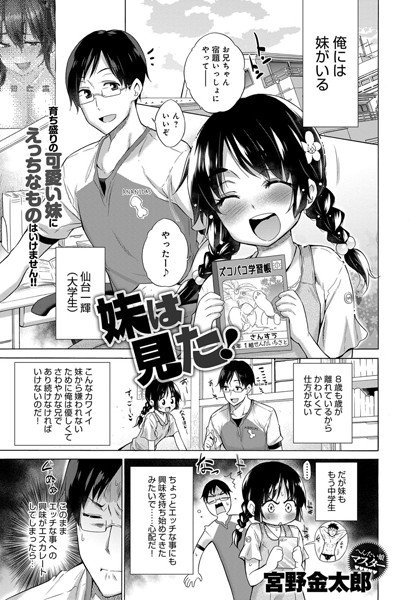 妹は見た！（単話） メイン画像