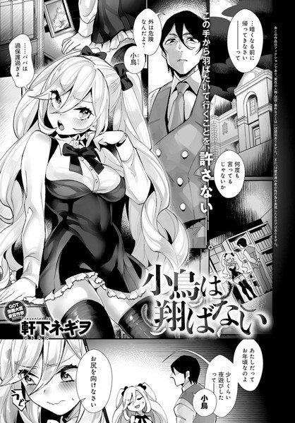 小鳥は翔ばない(単話) メイン画像
