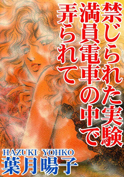 禁じられた実験 満員電車の中で弄られて メイン画像