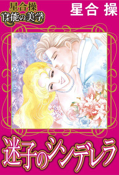 【星合 操 官能の美学】迷子のシンデレラ メイン画像