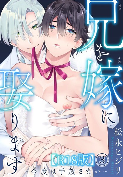 兄を嫁に娶ります〜今度は手放さない〜R18版(単話) メイン画像