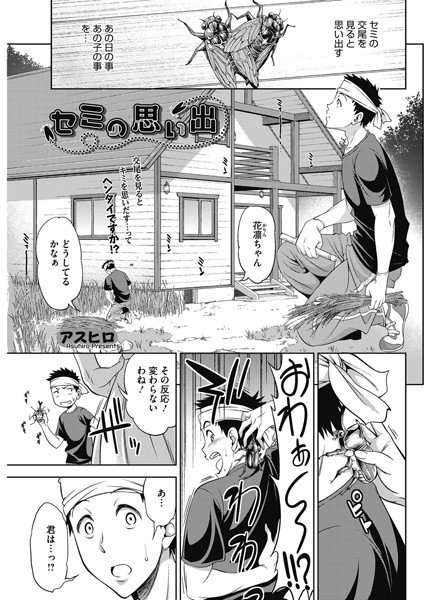 セミの思い出（単話） メイン画像