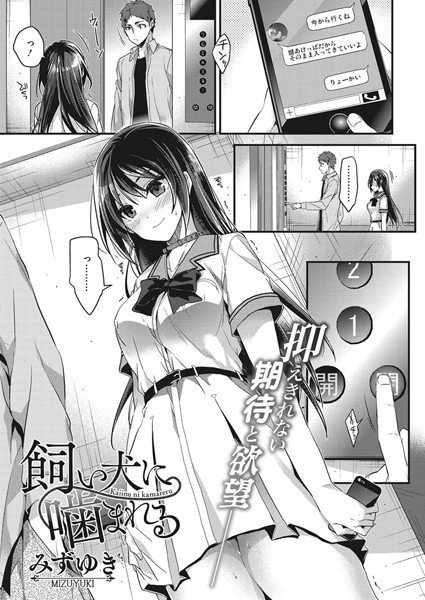 飼い犬に噛まれる(単話) メイン画像