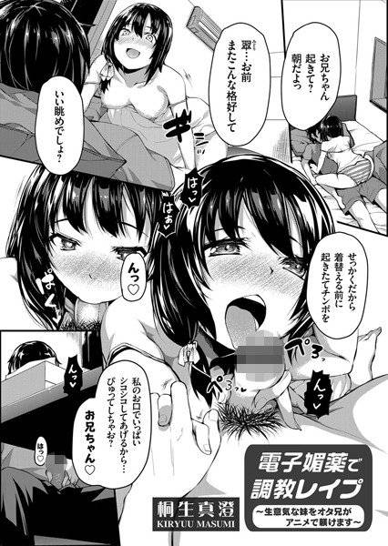 電子媚薬で調教レイプ（単話） メイン画像