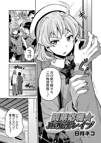 因果応報★JK痴漢レイプ（単話） メイン画像