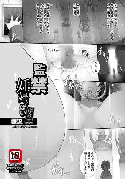 監禁妊婦っぱい(単話) メイン画像