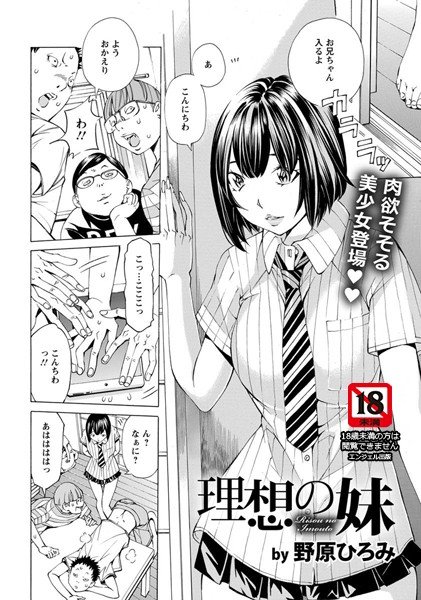 理想の妹（単話） メイン画像