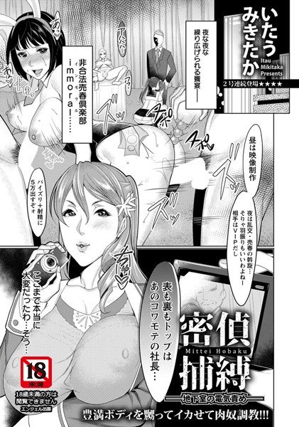 密偵捕縛 〜地下室の電気責め〜(単話) メイン画像