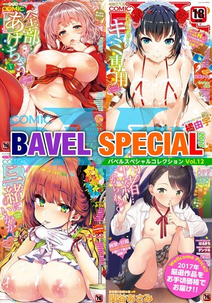 COMIC BAVEL SPECIAL COLLECTION（コミックバベル スペシャルコレクション） VOL12 メイン画像