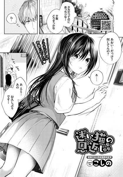 迷い猫の恩返し（単話） メイン画像