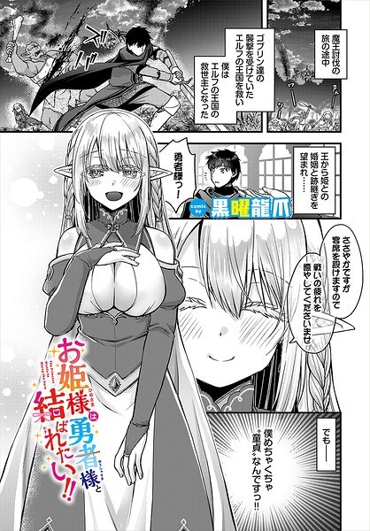 The princess wants to be united with the hero! ! (single story)