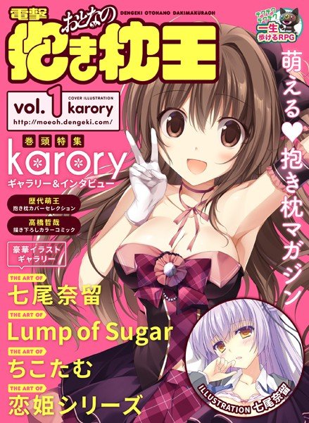電撃萌王 2019年3月号 増刊 電撃おとなの抱き枕王 Vol.01 メイン画像