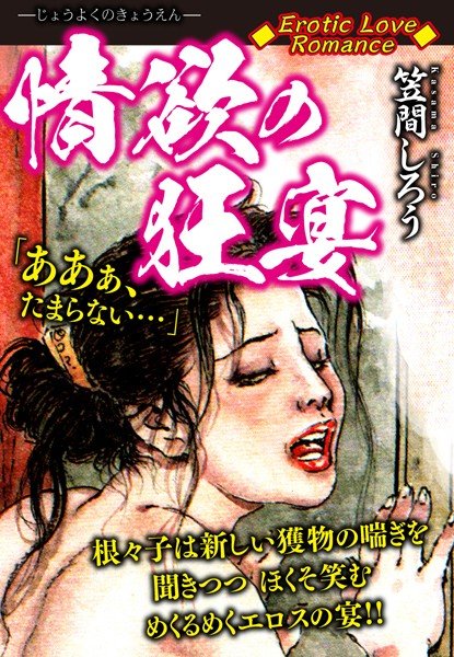Erotic Love Romance 情欲の狂宴 メイン画像