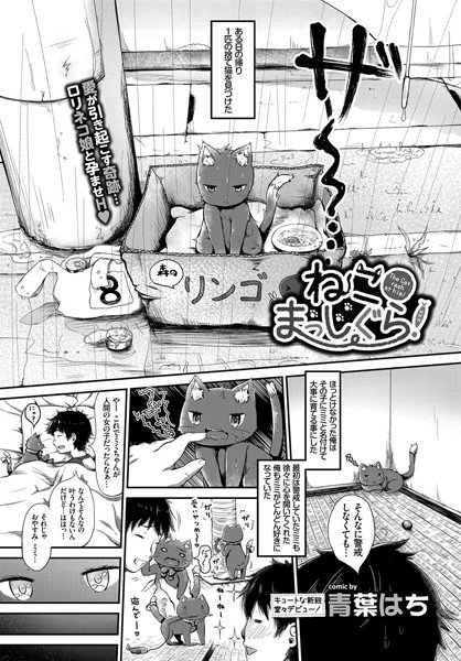 ねこましっぐら！（単話） メイン画像