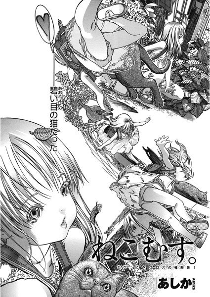 ねこむす。（単話） メイン画像