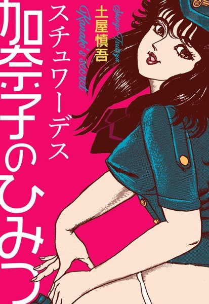 スチュワーデス・加奈子のひみつ メイン画像
