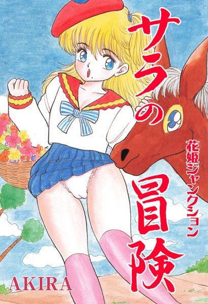 花姫ジャンクションサラの冒険 メイン画像