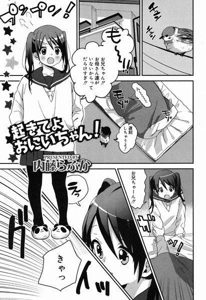起きてよおにいちゃん！（単話） メイン画像