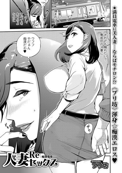 人妻Reセックス 〜痴漢電車〜（単話） メイン画像