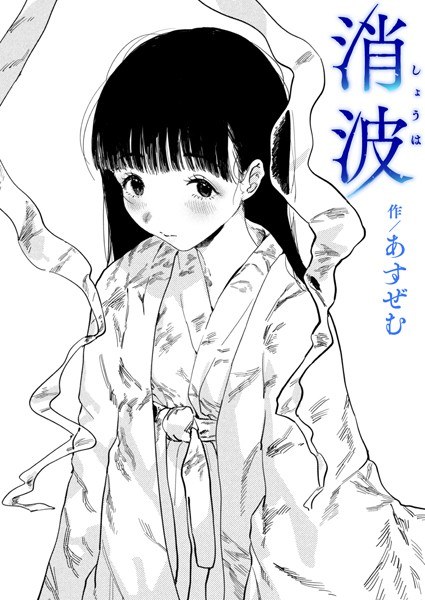 波耗散（单层） メイン画像