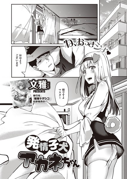 発情子犬アカネちゃん（単話） メイン画像