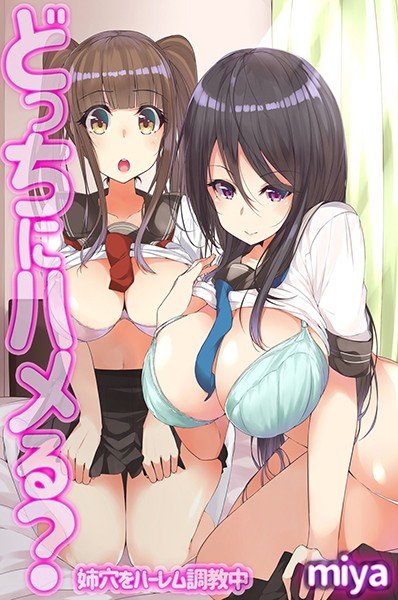どっちにハメる？姉穴をハーレム調教中 メイン画像