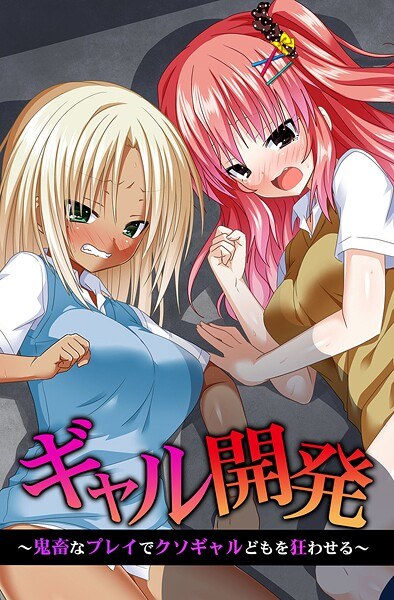 ギャル開発〜鬼畜なプレイでクソギャルどもを狂わせる〜 メイン画像