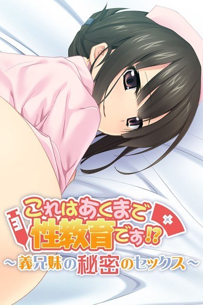 これはあくまで性教育です！？ 〜義兄妹の秘密のセックス〜 メイン画像