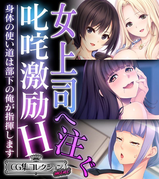 魔法少女をムチャクチャ倒したい! 〜敗北ヒロインによる肉欲ハーレム完成〜 メイン画像