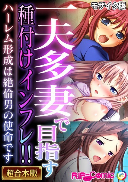 一夫多妻で目指す種付けインフレ!! 〜ハーレム形成は絶倫男の使命です〜【超合本シリーズ】 モザイク版 メイン画像
