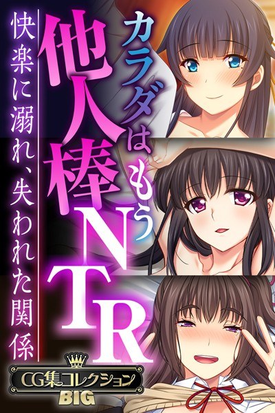 カラダはもう他人棒NTR 〜快楽に溺れ、失われた関係〜【CG集コレクションBIG】 メイン画像