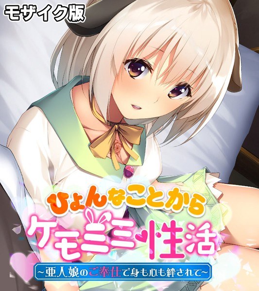 近所の性欲エルフお姉ちゃん モザイク版 メイン画像