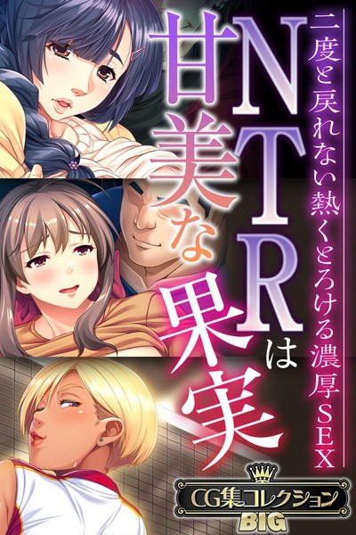 NTRは甘美な果実〜二度と戻れない熱くとろける濃厚SEX〜【CG集コレクションBIG】 メイン画像