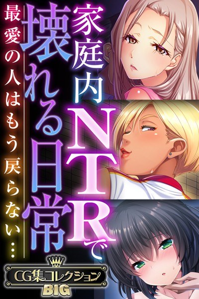 家庭内NTRで壊れる日常 〜最愛の人はもう戻らない…〜【CG集コレクションBIG】 メイン画像