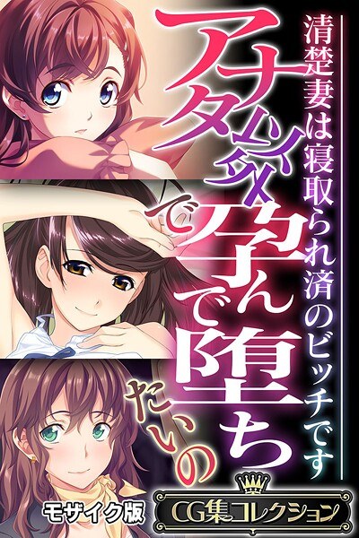 アナタ以外で孕んで堕ちたいの 〜清楚妻は寝取られ済のビッチです〜【CG集コレクション】 モザイク版